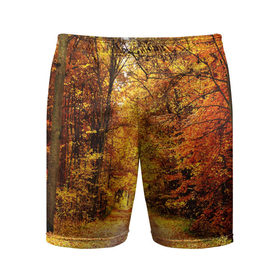 Мужские шорты 3D спортивные с принтом Осень в Кировске,  |  | autumn | bright | colors | forest | paint | trees | деревья | краски | лес | осень | цвета | яркие