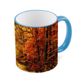 Кружка 3D с принтом Осень в Кировске, керамика | ёмкость 330 мл | autumn | bright | colors | forest | paint | trees | деревья | краски | лес | осень | цвета | яркие