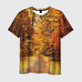 Мужская футболка 3D с принтом Осень в Кировске, 100% полиэфир | прямой крой, круглый вырез горловины, длина до линии бедер | autumn | bright | colors | forest | paint | trees | деревья | краски | лес | осень | цвета | яркие