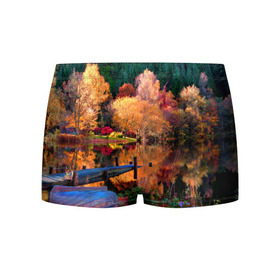 Мужские трусы 3D с принтом Осень в Кировске, 50% хлопок, 50% полиэстер | классическая посадка, на поясе мягкая тканевая резинка | Тематика изображения на принте: autumn | boat | bright | colors | forest | paint | river | trees | деревья | краски | лес | лодка | осень | река | цвета | яркие