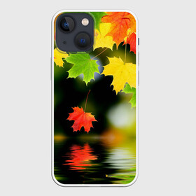 Чехол для iPhone 13 mini с принтом Осень в Кировске,  |  | autumn | bright | color | forest | leaves | maple | paint | reflection | river | trees | деревья | клён | краски | лес | листья | осень | отражение | река | цвета | яркие
