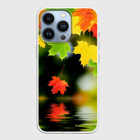 Чехол для iPhone 13 Pro с принтом Осень в Кировске,  |  | Тематика изображения на принте: autumn | bright | color | forest | leaves | maple | paint | reflection | river | trees | деревья | клён | краски | лес | листья | осень | отражение | река | цвета | яркие