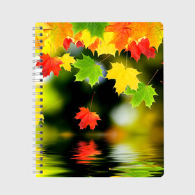 Тетрадь с принтом Осень в Кировске, 100% бумага | 48 листов, плотность листов — 60 г/м2, плотность картонной обложки — 250 г/м2. Листы скреплены сбоку удобной пружинной спиралью. Уголки страниц и обложки скругленные. Цвет линий — светло-серый
 | autumn | bright | color | forest | leaves | maple | paint | reflection | river | trees | деревья | клён | краски | лес | листья | осень | отражение | река | цвета | яркие