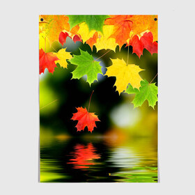 Постер с принтом Осень в Кировске, 100% бумага
 | бумага, плотность 150 мг. Матовая, но за счет высокого коэффициента гладкости имеет небольшой блеск и дает на свету блики, но в отличии от глянцевой бумаги не покрыта лаком | autumn | bright | color | forest | leaves | maple | paint | reflection | river | trees | деревья | клён | краски | лес | листья | осень | отражение | река | цвета | яркие