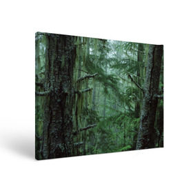 Холст прямоугольный с принтом Дремучий лес в Кировске, 100% ПВХ |  | camouflage | dense | fog | forest | spruce | tree | дремучий | ёлка | ельник | камуфляж | лес | маскировка | туман