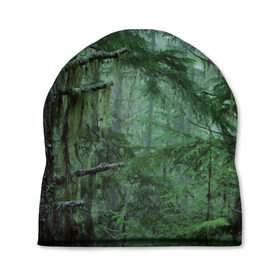 Шапка 3D с принтом Дремучий лес в Кировске, 100% полиэстер | универсальный размер, печать по всей поверхности изделия | camouflage | dense | fog | forest | spruce | tree | дремучий | ёлка | ельник | камуфляж | лес | маскировка | туман