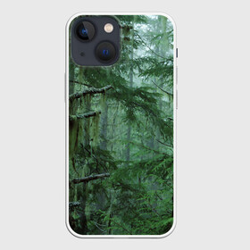 Чехол для iPhone 13 mini с принтом Дремучий лес в Кировске,  |  | camouflage | dense | fog | forest | spruce | tree | дремучий | ёлка | ельник | камуфляж | лес | маскировка | туман