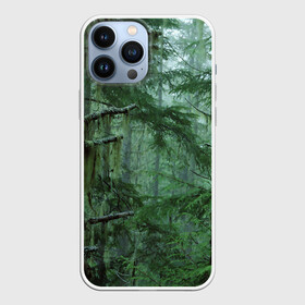 Чехол для iPhone 13 Pro Max с принтом Дремучий лес в Кировске,  |  | Тематика изображения на принте: camouflage | dense | fog | forest | spruce | tree | дремучий | ёлка | ельник | камуфляж | лес | маскировка | туман