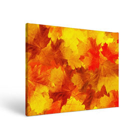 Холст прямоугольный с принтом Осень в Кировске, 100% ПВХ |  | autumn | bright | color | forest | leaves | maple | paint | trees | деревья | клен | краски | лес | листья | осень | цвета | яркие