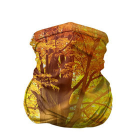 Бандана-труба 3D с принтом Осень в Кировске, 100% полиэстер, ткань с особыми свойствами — Activecool | плотность 150‒180 г/м2; хорошо тянется, но сохраняет форму | autumn | bright | colors | forest | paint | trees | деревья | краски | лес | осень | цвета | яркие