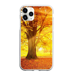 Чехол для iPhone 11 Pro Max матовый с принтом Осень в Кировске, Силикон |  | autumn | bright | colors | forest | paint | trees | деревья | краски | лес | осень | цвета | яркие