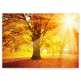Поздравительная открытка с принтом Осень в Кировске, 100% бумага | плотность бумаги 280 г/м2, матовая, на обратной стороне линовка и место для марки
 | Тематика изображения на принте: autumn | bright | colors | forest | paint | trees | деревья | краски | лес | осень | цвета | яркие
