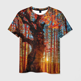 Мужская футболка 3D с принтом Осень в Кировске, 100% полиэфир | прямой крой, круглый вырез горловины, длина до линии бедер | autumn | bright | colors | forest | trees | деревья | краски | лес | лучи | осень | солнце | цвета | яркие