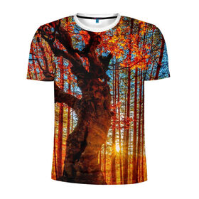 Мужская футболка 3D спортивная с принтом Осень в Кировске, 100% полиэстер с улучшенными характеристиками | приталенный силуэт, круглая горловина, широкие плечи, сужается к линии бедра | autumn | bright | colors | forest | trees | деревья | краски | лес | лучи | осень | солнце | цвета | яркие
