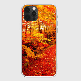 Чехол для iPhone 12 Pro Max с принтом Осень в Кировске, Силикон |  | Тематика изображения на принте: autumn | bright | colors | forest | paint | trees | деревья | краски | лес | осень | цвета | яркие