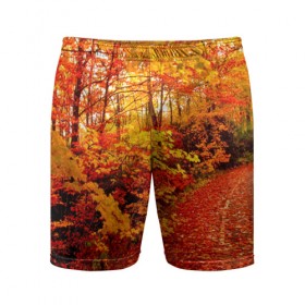 Мужские шорты 3D спортивные с принтом Осень в Кировске,  |  | autumn | bright | colors | forest | paint | trees | деревья | краски | лес | осень | цвета | яркие