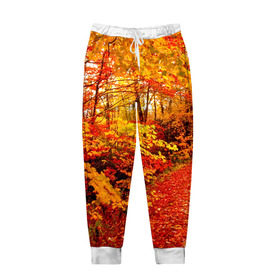 Мужские брюки 3D с принтом Осень в Кировске, 100% полиэстер | манжеты по низу, эластичный пояс регулируется шнурком, по бокам два кармана без застежек, внутренняя часть кармана из мелкой сетки | autumn | bright | colors | forest | paint | trees | деревья | краски | лес | осень | цвета | яркие