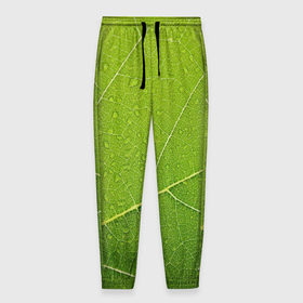 Мужские брюки 3D с принтом Листик 2 в Кировске, 100% полиэстер | манжеты по низу, эластичный пояс регулируется шнурком, по бокам два кармана без застежек, внутренняя часть кармана из мелкой сетки | зеленый | зелень | лист | природа | растения