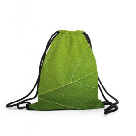 Рюкзак-мешок 3D с принтом Листик 2 в Кировске, 100% полиэстер | плотность ткани — 200 г/м2, размер — 35 х 45 см; лямки — толстые шнурки, застежка на шнуровке, без карманов и подкладки | зеленый | зелень | лист | природа | растения