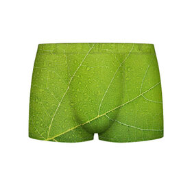 Мужские трусы 3D с принтом Листик 2 в Кировске, 50% хлопок, 50% полиэстер | классическая посадка, на поясе мягкая тканевая резинка | зеленый | зелень | лист | природа | растения