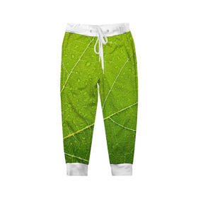Детские брюки 3D с принтом Листик 2 в Кировске, 100% полиэстер | манжеты по низу, эластичный пояс регулируется шнурком, по бокам два кармана без застежек, внутренняя часть кармана из мелкой сетки | зеленый | зелень | лист | природа | растения