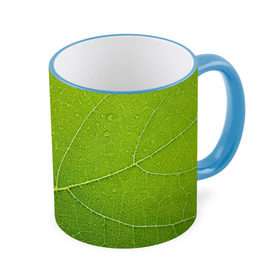 Кружка 3D с принтом Листик 2 в Кировске, керамика | ёмкость 330 мл | зеленый | зелень | лист | природа | растения