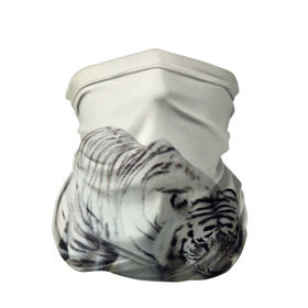Бандана-труба 3D с принтом Белый тигр в Кировске, 100% полиэстер, ткань с особыми свойствами — Activecool | плотность 150‒180 г/м2; хорошо тянется, но сохраняет форму | дикая кошка | природа | тигр | хищник