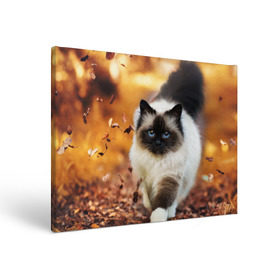 Холст прямоугольный с принтом Котик в листьях в Кировске, 100% ПВХ |  | грация | кот | котик | кошка | листья | осень