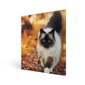 Холст квадратный с принтом Котик в листьях в Кировске, 100% ПВХ |  | грация | кот | котик | кошка | листья | осень
