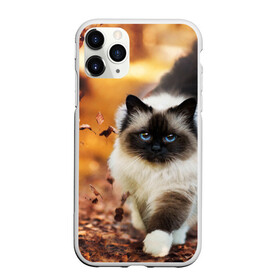 Чехол для iPhone 11 Pro матовый с принтом Котик в листьях в Кировске, Силикон |  | грация | кот | котик | кошка | листья | осень