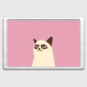Магнит 45*70 с принтом Grumpy cat pink в Кировске, Пластик | Размер: 78*52 мм; Размер печати: 70*45 | кот | мем | угрюмый