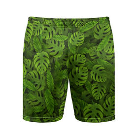 Мужские шорты 3D спортивные с принтом Тропические листья в Кировске,  |  | джунгли | монстера | пальма | растения | тропики