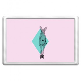 Магнит 45*70 с принтом Pink Rabbit в Кировске, Пластик | Размер: 78*52 мм; Размер печати: 70*45 | hipster | rabbit | swag | кролик | хипстер