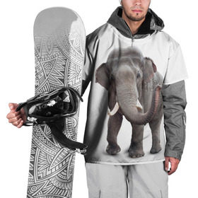 Накидка на куртку 3D с принтом Слон VPPDGryphon в Кировске, 100% полиэстер |  | luxury | premium | vip | vppdgryphon | премиум | слон | эксклюзив