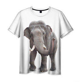 Мужская футболка 3D с принтом Слон VPPDGryphon в Кировске, 100% полиэфир | прямой крой, круглый вырез горловины, длина до линии бедер | Тематика изображения на принте: luxury | premium | vip | vppdgryphon | премиум | слон | эксклюзив