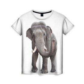 Женская футболка 3D с принтом Слон VPPDGryphon в Кировске, 100% полиэфир ( синтетическое хлопкоподобное полотно) | прямой крой, круглый вырез горловины, длина до линии бедер | luxury | premium | vip | vppdgryphon | премиум | слон | эксклюзив
