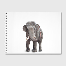 Альбом для рисования с принтом Слон VPPDGryphon в Кировске, 100% бумага
 | матовая бумага, плотность 200 мг. | luxury | premium | vip | vppdgryphon | премиум | слон | эксклюзив