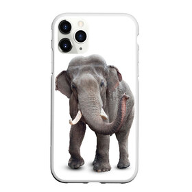 Чехол для iPhone 11 Pro матовый с принтом Слон VPPDGryphon в Кировске, Силикон |  | luxury | premium | vip | vppdgryphon | премиум | слон | эксклюзив