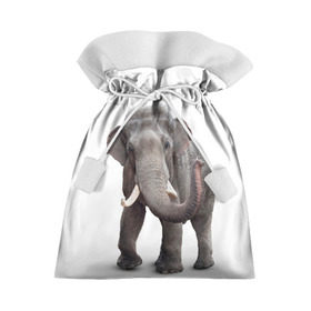 Подарочный 3D мешок с принтом Слон VPPDGryphon в Кировске, 100% полиэстер | Размер: 29*39 см | luxury | premium | vip | vppdgryphon | премиум | слон | эксклюзив