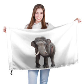Флаг 3D с принтом Слон VPPDGryphon в Кировске, 100% полиэстер | плотность ткани — 95 г/м2, размер — 67 х 109 см. Принт наносится с одной стороны | luxury | premium | vip | vppdgryphon | премиум | слон | эксклюзив