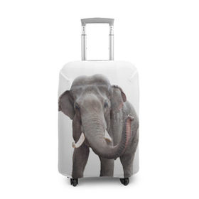 Чехол для чемодана 3D с принтом Слон VPPDGryphon в Кировске, 86% полиэфир, 14% спандекс | двустороннее нанесение принта, прорези для ручек и колес | Тематика изображения на принте: luxury | premium | vip | vppdgryphon | премиум | слон | эксклюзив