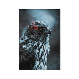 Обложка для паспорта матовая кожа с принтом Ночной орёл в Кировске, натуральная матовая кожа | размер 19,3 х 13,7 см; прозрачные пластиковые крепления | глаз | крылья | орёл | пернатые | перья | природа | птица