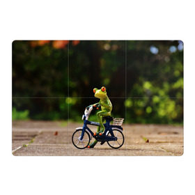 Магнитный плакат 3Х2 с принтом Лягушка в Кировске, Полимерный материал с магнитным слоем | 6 деталей размером 9*9 см | велосипед | жаба | животные | лягушка | мини | фигурка