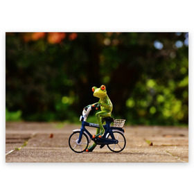 Поздравительная открытка с принтом Лягушка в Кировске, 100% бумага | плотность бумаги 280 г/м2, матовая, на обратной стороне линовка и место для марки
 | Тематика изображения на принте: велосипед | жаба | животные | лягушка | мини | фигурка