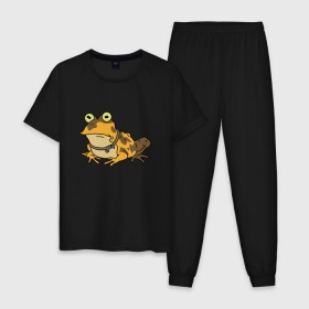 Мужская пижама хлопок с принтом Гипножаба в Кировске, 100% хлопок | брюки и футболка прямого кроя, без карманов, на брюках мягкая резинка на поясе и по низу штанин
 | 