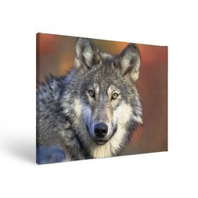 Холст прямоугольный с принтом Волк в Кировске, 100% ПВХ |  | волк | волки | волчата | волчонок | хищник