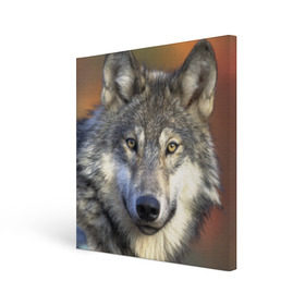 Холст квадратный с принтом Волк в Кировске, 100% ПВХ |  | волк | волки | волчата | волчонок | хищник