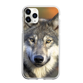 Чехол для iPhone 11 Pro матовый с принтом Волк в Кировске, Силикон |  | волк | волки | волчата | волчонок | хищник