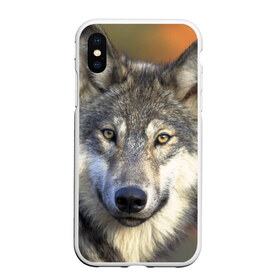 Чехол для iPhone XS Max матовый с принтом Волк в Кировске, Силикон | Область печати: задняя сторона чехла, без боковых панелей | волк | волки | волчата | волчонок | хищник