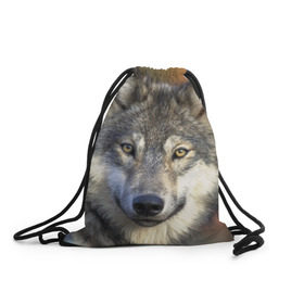 Рюкзак-мешок 3D с принтом Волк в Кировске, 100% полиэстер | плотность ткани — 200 г/м2, размер — 35 х 45 см; лямки — толстые шнурки, застежка на шнуровке, без карманов и подкладки | волк | волки | волчата | волчонок | хищник